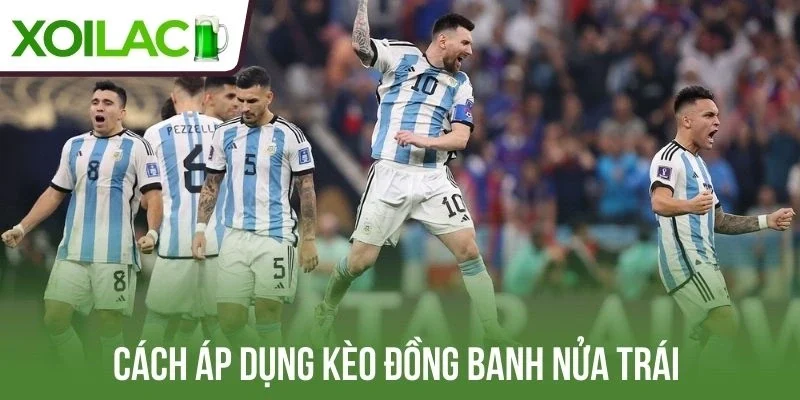 Cách áp dụng kèo đồng banh nửa trái
